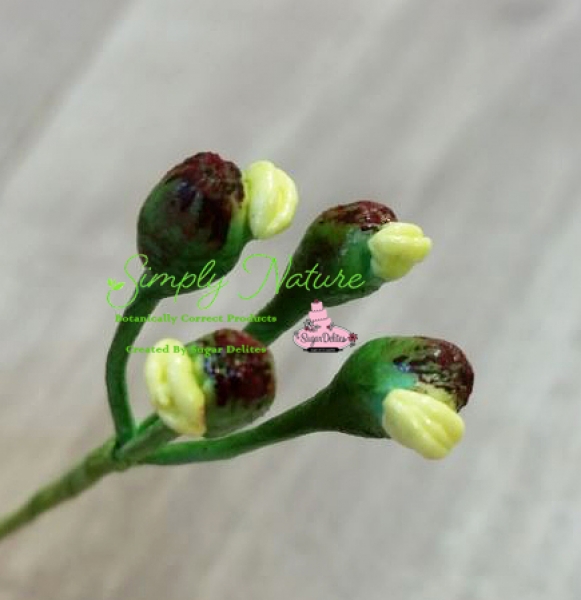 Poinsettia Center Mold Veiner Set By Simply Nature Botanically Correct Products®